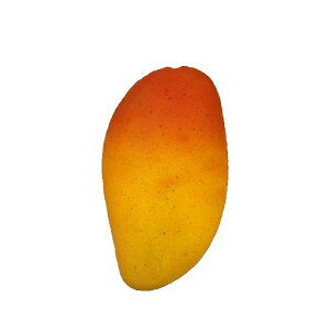 }S[@@@@@@@@@@@@ԍ AW ޗ   | G   fBXvC fR[V nhCh Ntg A[g  fG 킢  ʂ t[