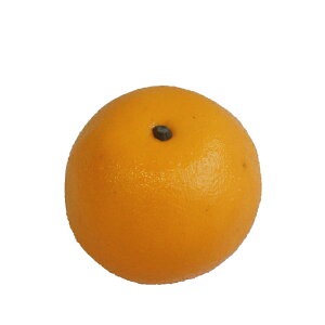 O[vt[c@@@@@@@@@@@@ԍ AW ޗ   | G   fBXvC fR[V nhCh Ntg A[g  fG 킢  