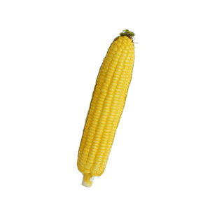 gERVitFCNj@@@@@@@@@@@@@@@@@AW ޗ   | G   fBXvC fR[V nhCh Ntg A[g  fG 