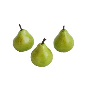 ~j~jmiV itFCNj 3Zbg@@@@@@@@@@@@@@@@ԍ AW ޗ   | G   fBXvC fR[V nhCh Ntg A[g 