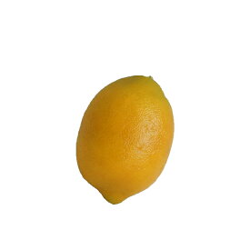 レモン（ソフトタッチ）　　　　　　　　　　　　　花材 アレンジ 材料 資材 趣味 手芸 雑貨 装飾 飾り ディスプレイ デコレーション ハンドメイド クラフト アート おしゃれ 素敵 かわいい 癒し 彩り 果物 果実 檸檬 フェイクフルーツ lemon