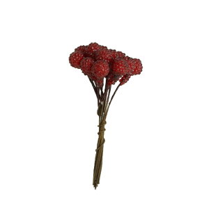 ~jYx[(1jylR|XIz@@@@@@@@@@@@@ԍ AW ޗ   | G   fBXvC fR[V nhCh Ntg A[g 