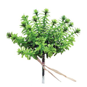 AiJXoh@@@@@@@@@@@@@@@ԍ AW ޗ   | G   fBXvC fR[V nhCh Ntg A[g  fG 킢