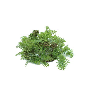 ~bNX[tn[t{[@@@@@@@@@@@@@@ԍ AW ޗ   | G   fBXvC fR[V nhCh Ntg A[g  fG 