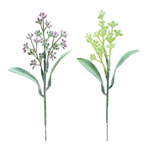 tbLO{bNXEbhsbN GREEN/ LILACylR|Xz@@@@@@@@@@@@@ԍ AW ޗ   | G   fBXvC fR[V nhCh N