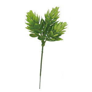 ~jzbvsbNylR|XIz@@@@@@@@@@@@@ԍ AW ޗ   | G   fBXvC fR[V nhCh Ntg A[g  