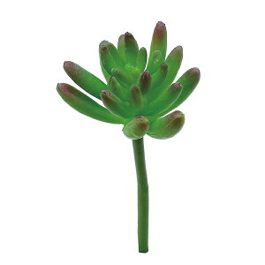 Z_sbN@@@@@@@@@@@@ԍ AW ޗ   | G   fBXvC fR[V nhCh Ntg A[g  fG 킢  ʂ t