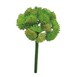 xr[TLgsbN@@@@@@@@@@@@ԍ AW ޗ   | G   fBXvC fR[V nhCh Ntg A[g  fG 킢