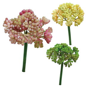 xr[Z_sbN@@@@@@@@@@@@ԍ AW ޗ   | G   fBXvC fR[V nhCh Ntg A[g  fG 킢  