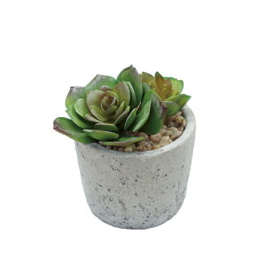 GPxA|bg@@@@@@@@A ԍ AW ޗ   | G   fBXvC fR[V nhCh Ntg A[g  fG 킢  