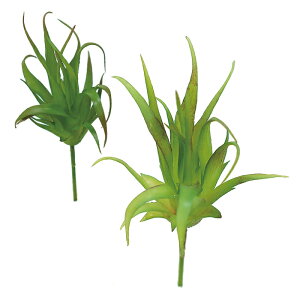 ~jGA[OXsbN@@@@@@@@@@@@ԍ AW ޗ   | G   fBXvC fR[V nhCh Ntg A[g fG 킢 tFCNO