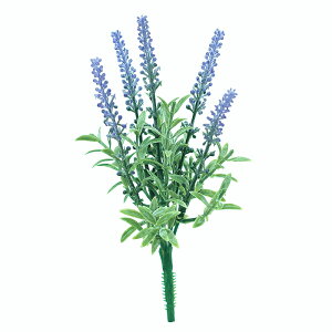 x_[ubV@@@@@@@@@@@ԍ AW ޗ   | G   fBXvC fR[V nhCh Ntg A[g  fG 킢  