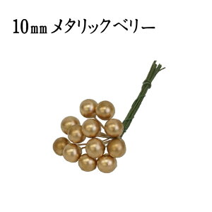 10mm^bNx[@S[hylR|XIz@@@@@@@@@@@@@@@@AW ޗ   | G   fBXvC fR[V nhCh Ntg A