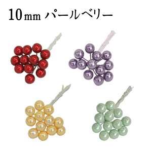 10mmp[x[@bh/CG[/p[v/XJCu[ylR|XIz@@@@@@@@@@@@@@@@AW ޗ   | G   fBXvC fR[V