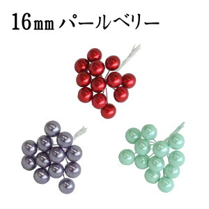 16mmp[x[@bh/p[v/XJCu[ylR|XIz@@@@@@@@@@@@@@@@AW ޗ   | G   fBXvC fR[V nh