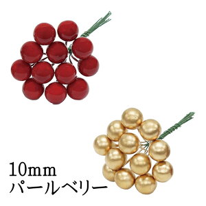 10mmp[x[@bh/S[h ylR|XIz@@@@@@@@@@@@@@@@AW ޗ   | G   fBXvC fR[V nhCh Nt