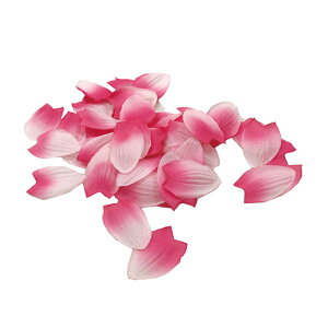 y^i10gjylR|XIz@@@@@@@@@@@@@ԍ AW ޗ   | G   fBXvC fR[V nhCh Ntg A[g  