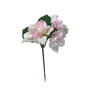 sbN@@@@@@@@@@@@@ԍ AW ޗ   | G   fBXvC fR[V nhCh Ntg A[g  fG 킢  ʂ 