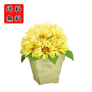 TfCW[|bg@@@@@@@@@@@@ԍ AW ޗ   | G   fBXvC fR[V nhCh Ntg A[g  fG 킢  