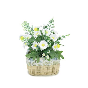 y󂠂zf[W[oXPbg@@@@@@@@@@@@ԍ AW ޗ   | G   fBXvC fR[V nhCh Ntg A[g  fG 