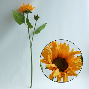 Tt[Xv[@CG[@@@@@@@@@@@@ԍ AW ޗ   | G   fBXvC fR[V nhCh Ntg A[g  fG 