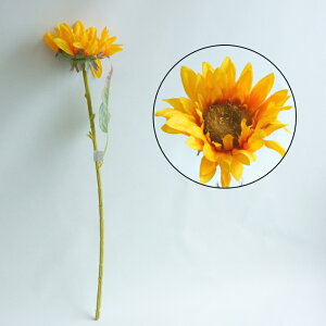 VOTt[@CG[@@@@@@@@@@@@ԍ AW ޗ   | G   fBXvC fR[V nhCh Ntg A[g  fG 