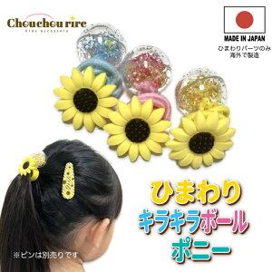 yЂ܂LL{[|j[z1{@@ԁ@LL@LbY@ANZT[@wAS @@@VJVJ@t@V[@ʊw@ʉ@w@q@