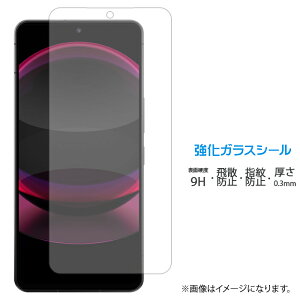 AQUOS R8 pro SH-51D KX ʕیtB V[ tی tB t dx9H XN[K[h  ی KXtB ANIX SH51D