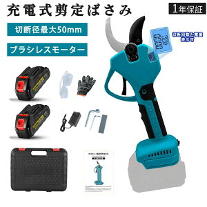 yi2025VŁEtZbgzoT~ d [d΂ R[hX v doT~ dnT~ ؒfa50mm 0.78kg  }؂ K[fjO ʎp /}؂/ʎp  