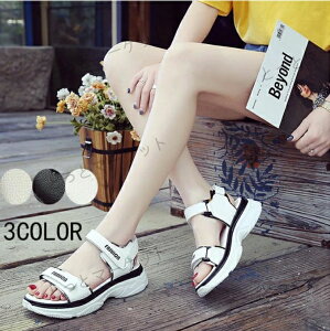 2024VX|[cT_ fB[X Xj[J[T_ T_ ₷ ɂȂ PU _炩NbV h y JWA ^C  ăr[T xg Xgbv X|