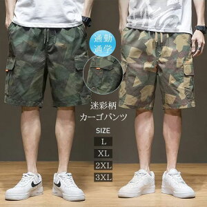 yyVX[p[SALEzEGXgR EGXgS V[gpc Jt[W  n[tpc Y