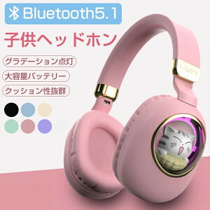 wbhz CX wbhz bluetooth qwbhz L   LbYwbhz Bluetooth5.1 I[o[C[wbhz HIFI CX ^ ܂肽ݎ xȂ  3