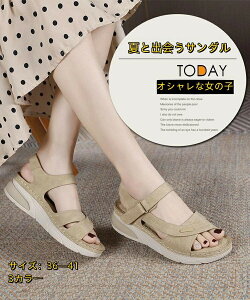 T_ fB[X  W[g EFbW\[ EFbWT_ fB[X Y  RtH[gT_ X|T₷  q[  ItBX ̎q I[vg