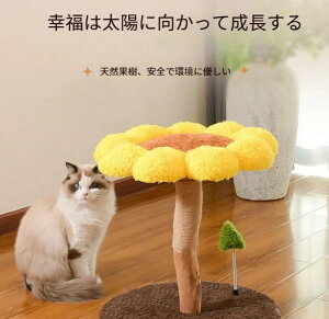 q}Lbg^[ VRʎ L^[ VR i` L^[ u   xbh  lR Lp ^s XgX 萫Q k Vv Ce