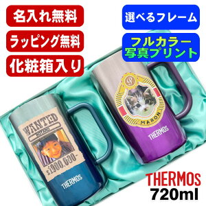 【化粧箱入り】写真入り ビールジョッキ サーモス ペア 名入れ プレゼント 真空断熱 保温 保冷 ステンレス 名前入り ペット うちの子 写真 犬 猫 ペット グッズ プリント 印刷 ビアグラス お