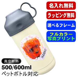 ʐ^  ybg{gN[[ O 500 600mlp ۗ ^ d\ XeX  Jo[ nh ybg{g ybg{gz_[ ybg{gJo[ ␅ O