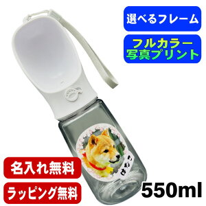 ʐ^  ybg v[g {g O ybg  ̎q ʐ^ IWi ObY   L  ybgIWiObY vg   ^ j 