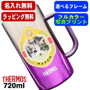 写真入り ビールジョッキ サーモス 名入れ プレゼント 真空断熱 保温 保冷 ステンレス 名前入り ペット うちの子 写真 グッズ 犬 猫 ペットオリジナルグッズ プリント 印刷 ビアグラス おし