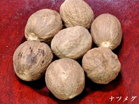 楽天市場 ナツメグ ホールの通販