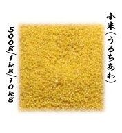 うるちあわ 小米 500g1kg 10kg 中国産