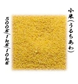 うるちあわ 小米 500g 1kg 10kg　中国産