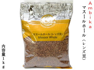 }X[z[ ArJ Ambika Ɩp1kg n