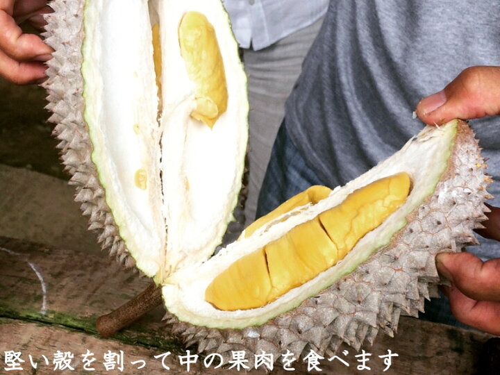 楽天市場】ドリアン 榴蓮 猫山王 マレーシア産 冷凍300g×10パック（他 