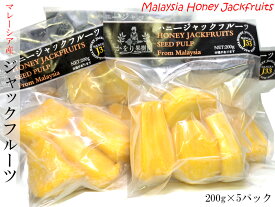 ジャックフルーツ マレーシア産 冷凍200g×5パック パラミツ 波羅蜜（他の配送方法と同梱不可）