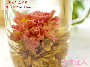 J[l[VH|@Gl-̓̑蕨Ɂi3j