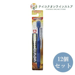 (12Zbg)Ȉオ߂郏ChwbhnuV 炩߁sqpit