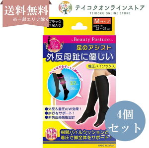 yz (4Zbg) O䒅nC\bNX MTCY ubN 22`23cm 2 (1) \bNX wԃpC AVXg