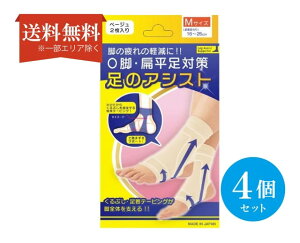 yz (4Zbg) r̃AVXg x[W 2 MTCY16-26cm Or Ε ΍ \h T|[^[ e[sO