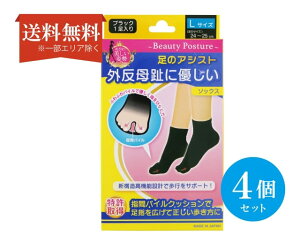 yz (4Zbg) O\bNX LTCY ubN 24`25cm 2 (1) wԃpC AVXg