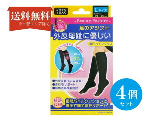 yz (4Zbg) O䒅nC\bNX LTCY ubN 24`25cm 2 (1) \bNX wԃpC AVXg